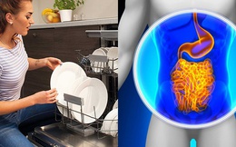 Viện Nghiên cứu Dị ứng và Hen suyễn cảnh báo: Máy rửa bát có khả năng tàn phá ruột và âm thầm gây nên các bệnh mạn tính