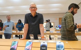 CEO Apple: AI sẽ 'ảnh hưởng đến mọi sản phẩm và dịch vụ mà chúng tôi có'