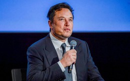 Elon Musk cùng hàng nghìn chuyên gia kêu gọi tạm dừng phát triển ‘hậu duệ’ của ChatGPT