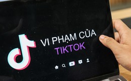 Phát hiện nhiều vi phạm của TikTok tại Việt Nam