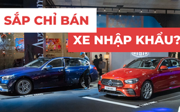 Mercedes-Benz nhập: ‘Chưa chắc đã đắt, khéo còn trở lại vị thế số 1’