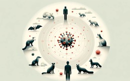 Con người truyền số lượng virus sang động vật nhiều gấp đôi số lượng chúng ta lây từ chúng!