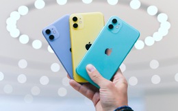Mẫu iPhone bán chạy nhất Việt Nam đang "sập giá"