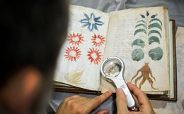 AI đã giải mã được bản thảo Voynich, bí ẩn 600 năm tuổi mà không ai có thể giải mã được?