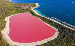 Tại sao ở Úc có nhiều hồ màu hồng?