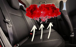 Phát hiện hợp chất gây ung thư tiềm ẩn bốc hơi từ ghế ngồi ô tô, đặc biệt là khi đậu xe dưới trời nắng