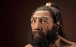 Phát hiện ra 3 mẫu virus cổ nhất lịch sử trên hóa thạch Neanderthal 50.000 năm tuổi
