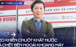 Chăm xe chơi Tết: Kẹo khiến chuột khát nước, chết bên ngoài và lưu ý vệ sinh khoang động cơ