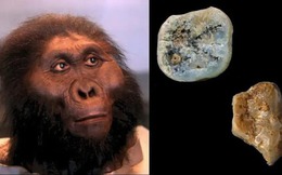 Paranthropus: Những người anh em họ bị lãng quên của loài người có thể đã tạo ra những công cụ đầu tiên trên thế giới