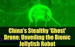 Các nhà khoa học đã chế tạo thành công 'sứa robot tàng hình': Vũ khí mới cho các nhiệm vụ bí mật dưới đáy biển