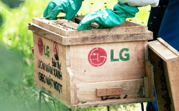 Đại sứ Cộng đồng LG 2025: Hành trình cùng cộng đồng kiến tạo tương lai bền vững