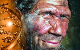 Bí mật giải mã 'gương mặt thô ráp' của người Neanderthal: Tất cả nằm trong vùng DNA tối của chúng ta