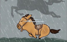 Chú ngựa Mã Tiểu Dã "vừa chạy vừa khóc" đang hot tung nóc ở đâu ra vậy?