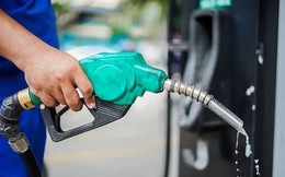 Xăng sinh học E10 được bán trên cả nước từ tháng 6/2026