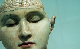 Bốn lần não bộ tự "khởi động lại" trong đời: Bạn đang ở giai đoạn nào?