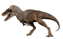 Phát hiện loài 'T-Rex mini' khiến giới khoa học phải xem lại 100 năm nghiên cứu