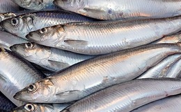 Cá hồi chỉ đứng thứ 3 trong bảng xếp hạng omega 3, loại cá bình dân bán đầy chợ Việt mới là "trùm cuối"