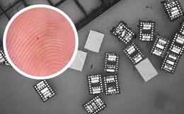 Các nhà khoa học vừa chế tạo thành công những robot vi mô, chỉ nhỏ bằng một sinh vật đơn bào và 'hoạt động vĩnh cửu' nhờ ánh sáng