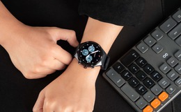 Smartwatch giá chưa đến 2 triệu, biết nghe - nói tiếng Việt, pin tính bằng tuần, nghe nhạc không cần điện thoại