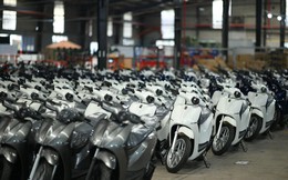 Thị trường xe máy điện 2025: Cuộc đua tăng tốc, thương hiệu nào đang giành lợi thế?