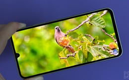 Galaxy A34 gặp lỗi lạ: Cứ cắm tai nghe dây là không xem được Netflix HD