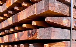 Phát minh chưa từng có của công ty Mỹ: tạo ra siêu vật liệu thay thế sắt thép, có thể làm rung chuyển ngành xây dựng và giao thông vận tải