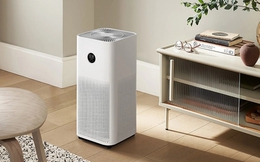 Bật máy lọc không khí quanh năm mà không thấy tác dụng: Chuyên gia chỉ ra 4 sai lầm thường gặp
