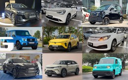 Toàn cảnh xe điện Việt Nam năm 2025: 300 triệu - 9 tỷ đồng, nhiều xe nhưng không phải mẫu nào cũng có khách