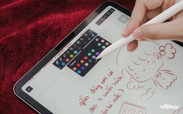 Đã tìm thấy bút cảm ứng giá rẻ nhưng dùng cực ngon cho iPad, săn sale giá chỉ hơn 800.000 đồng, rẻ chỉ bằng 1/3 Apple Pencil 2