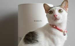 Dùng thử Xiaomi Smart Pet Care Air Purifier: Giải pháp gọn nhẹ cho “sen” nuôi chó mèo, thiết kế xinh, giá 2.6 triệu