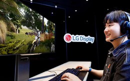 LG ra mắt màn hình OLED 540Hz, giá không rẻ