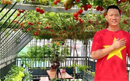 Gửi rau thay lời cảm ơn: Ông bố Hà Nội biến sân thượng thành vườn, tặng nông sản cho người ủng hộ thiện nguyện