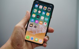 Ứng dụng theo dõi đường đi của bão số 3 Wipha trên điện thoại