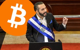 Lãi gần 450 triệu USD, người đàn ông này lại đem ‘quốc khố’ đi mua thêm bitcoin bất chấp cam kết với chủ nợ