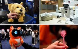 5 thiết bị kỳ lạ nhất tại CES 2026!