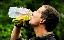 Uống nước tiểu để sinh tồn: Mẹo cứu mạng hay ảo tưởng nguy hiểm được thổi phồng trên truyền hình