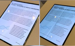 Ứng dụng nguyên lý đập nước, Samsung xóa nếp gấp trên màn hình gập như thế nào?