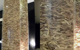 Bức ảnh khiến nhiều người sởn gai ốc tại 1 phòng khám phẫu thuật thẩm mỹ khu Gangnam Hàn Quốc