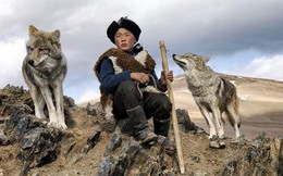 Vì sao bầy sói luôn là nỗi uất ức không thể nói thành lời của người du mục Tân Cương?