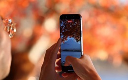 "Động đất" ngay trong túi quần: Công nghệ này có thể giúp smartphone nhanh gấp bội, cho 5G "hít khói"