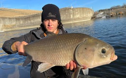 Sống hơn một thế kỷ, không lão hóa và nghịch lý sinh tồn của loài cá cổ đại Bắc Mỹ đang bị lãng quên