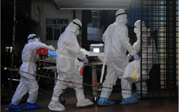 Nguồn gốc khởi phát dịch virus Nipah nguy hiểm với tỷ lệ tử vong lên đến 75%: Bắt đầu từ 1 bệnh viện ở Ấn Độ, 2 y tá nhiễm, 20 trường hợp nguy cơ cao bị cách ly 21 ngày