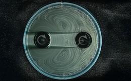 Lịch sử 5.000 năm của bánh răng sắp được viết lại: Không còn nỗi lo mài mòn hay bị kẹt