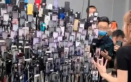 Phát hiện một căn nhà có 26.000 chiếc điện thoại phát sáng chạy: Cảnh sát tiết lộ bí mật động trời về 32 tỷ đồng