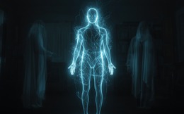 Các nhà khoa học xác nhận cơ thể sống phát ra ánh sáng mờ nhạt và ánh sáng này biến mất khi sự sống chấm dứt