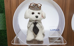 Ecovacs trình diễn chó robot, robot lau kính, cắt cỏ và vệ sinh hồ bơi tại CES 2026