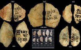 Mũi tên tẩm độc 60.000 năm tuổi hé lộ trí tuệ săn bắn vượt trội của con người thời tiền sử