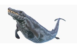 Thung lũng cá voi ở Ai Cập hé lộ hành trình tiến hóa kỳ lạ khi cá voi từng có chân và sống trên đất liền