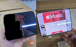 Vừa ra mắt, hàng loạt iPhone Duo đã bị hỏng màn hình, lỗi giống hệt nhau