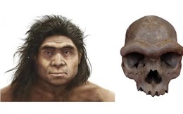 Giải mã bí mật chấn động về dung mạo người Denisovan: Nhánh nhân loại bí ẩn đã lộ diện